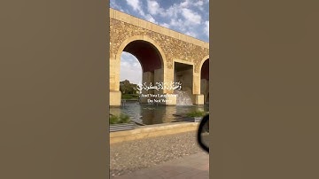 ما شاء الله علي صوته | القارئ حسام الدين عبادي