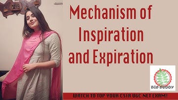 CSIR Net Life Science Lectures Module Wise Chapter Two Part Seven| Mech. of Int and Ext respiration|