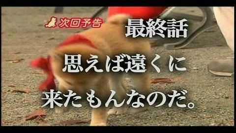 連続ドラマ『幼獣マメシバ』最終話予告