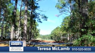 Homes for sale - 1199 Kingsmill Court, Sunset Beach, NC 28468