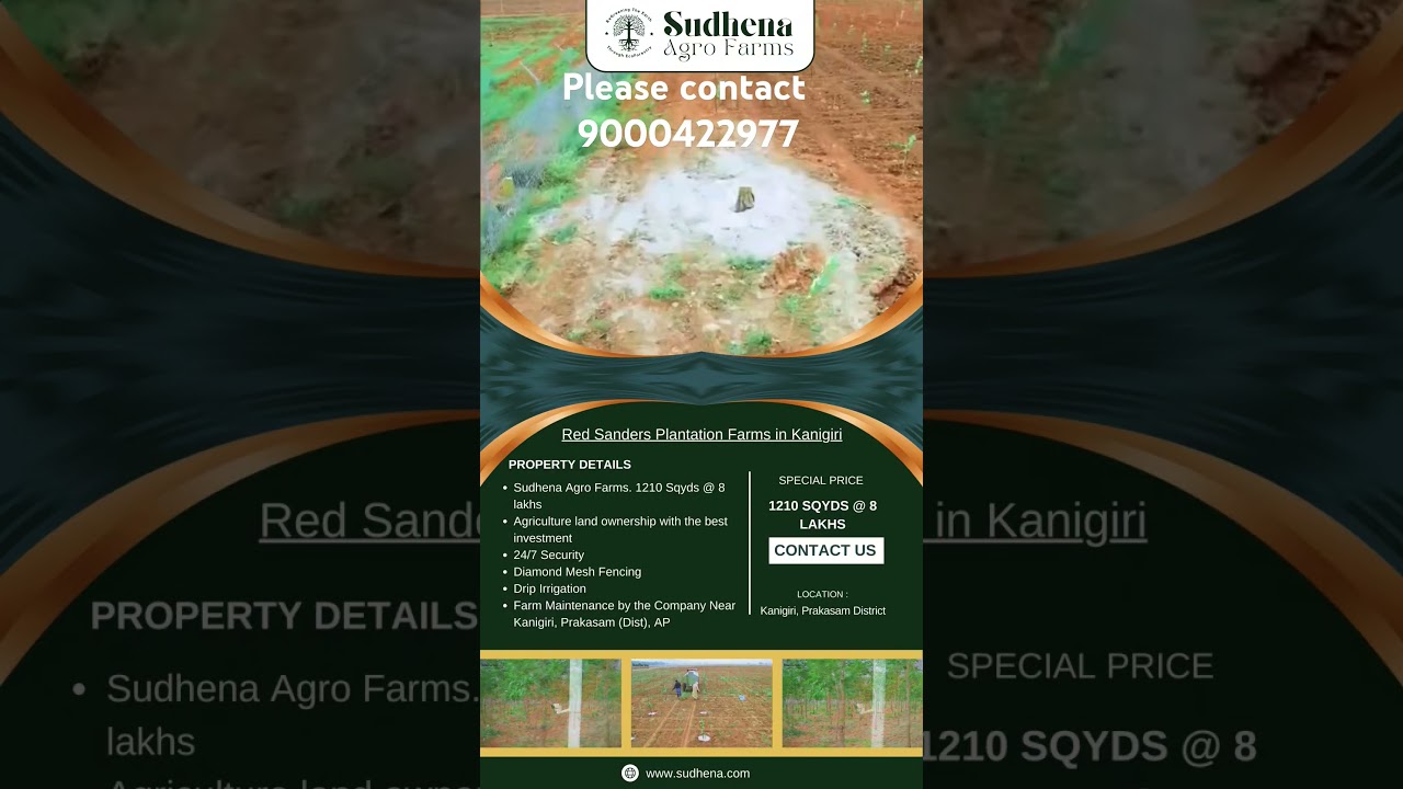 Small Investment and Big Returns @Sudhena Agro Farms.