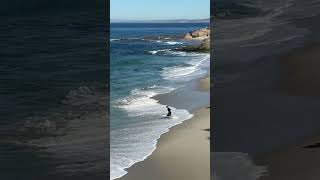 Skim Fiesta 2026 | Skimboarding at Wipeout Beach, La Jolla 🌊 #sandiego #beach #waves