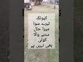 Friday vibes | #viral #shortvideo #1000subscriber #trrndingshorts #shortsfeed #shortspakistan