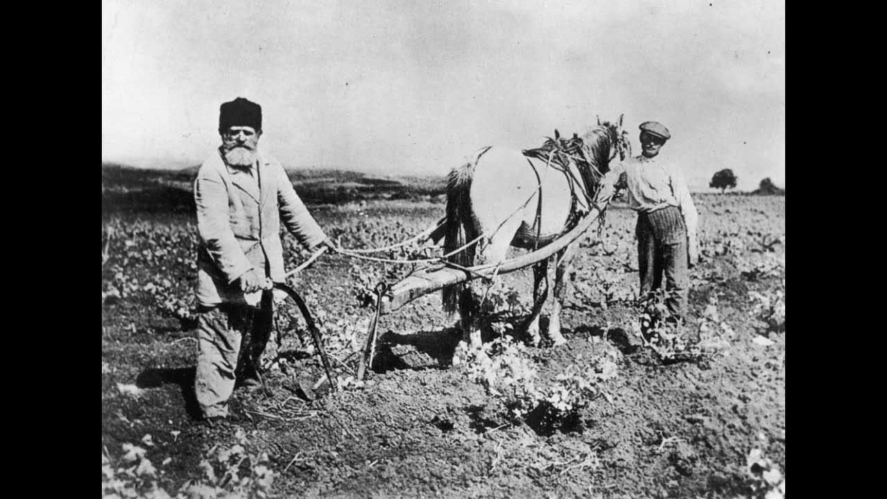 Сельское хозяйство и промыслы. Крестьяне в поле Российская Империя. Крестьянин пашет землю 19 век. Сельское хозяйство 19 век. Посевная 19 век.