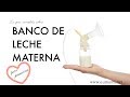 Banco de leche materna: Guía completa para primerizas