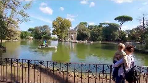 Ging Brot Frage alle Rad einige 1001616