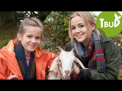 Zickenalarm (Folge 82) | Tiere bis unters Dach | SWR Plus