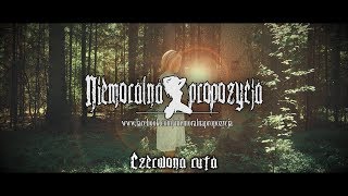 Video thumbnail of "Niemoralna Propozycja-Czerwona Ruta (rock/folk)"