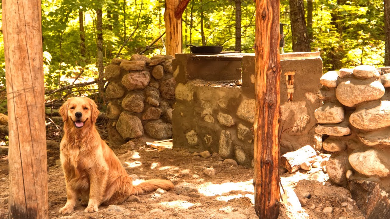 Off Grid Log Cabin in the Forest with my Golden Retriever Cali - YouTube