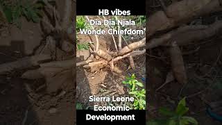 HB vibes Sierra Leone project #garden #agriculture #africa #economy #development #farming