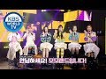 We K-Pop Ep.14 - MOMOLAND(모모랜드) [ENG, CHN, IND, MAL / 2019.10.11]