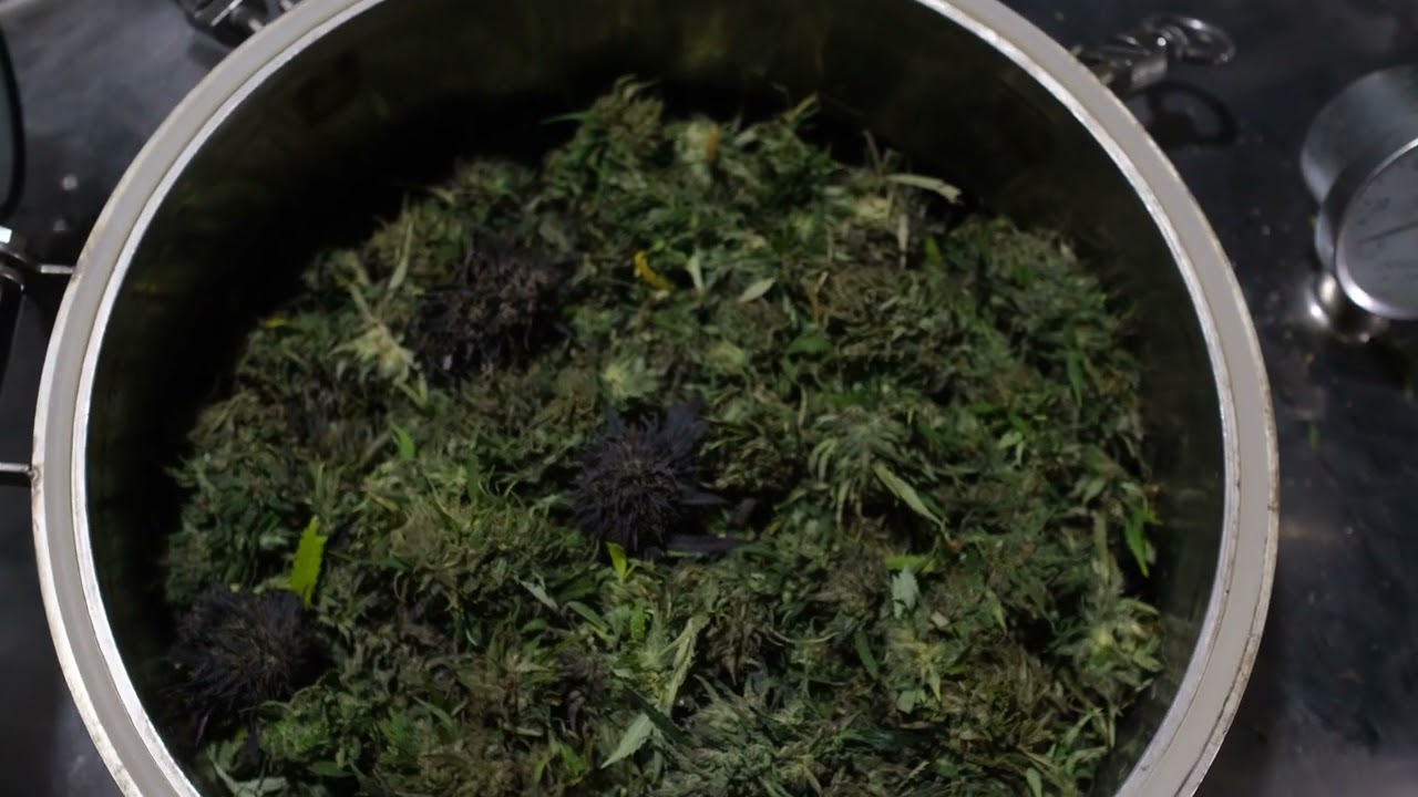 Loud Spectrum Alive Line: Premium Fresh Flower-Derived Terpenes Extracted in 1 Hour