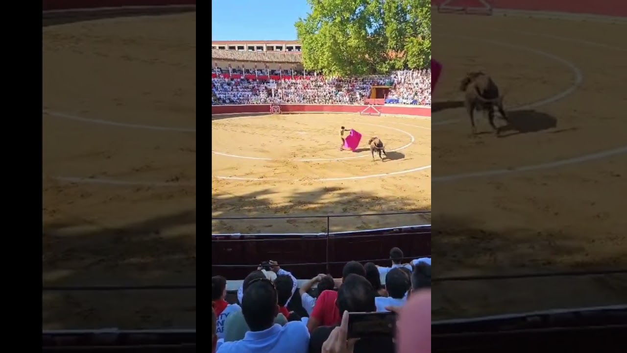 RETA//Casta NAVARRA// TAFALLA//Sánchez VARA//