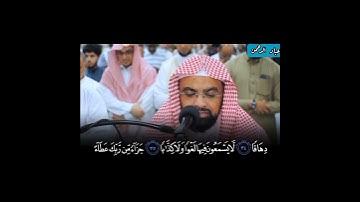 سورة النبأ ناصر القطامي