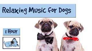 1 HOUR OF RELAXING DOG MUSIC! 1 Hora de Música Relajante Para Perros! 개를위한 음악 Calming Dog Music!