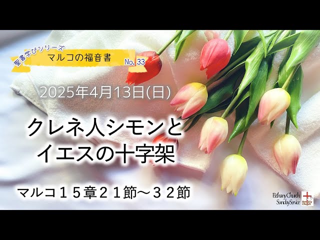 新約聖書 訳と註 第一巻 マルコ福音書／マタイ福音書| 聖書や