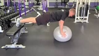 Feet Elevated Stability Ball Push-Ups