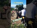 #roça #agricultura #agronomia