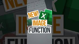 🖼️ NEW! Insert Images INSIDE Cells with Excel IMAGE Function #shorts