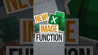 🖼️ new! insert images inside cells with excel image function #shorts