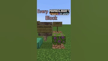 Every Minecraft Caves & Cliffs Part 1 Block #Shorts