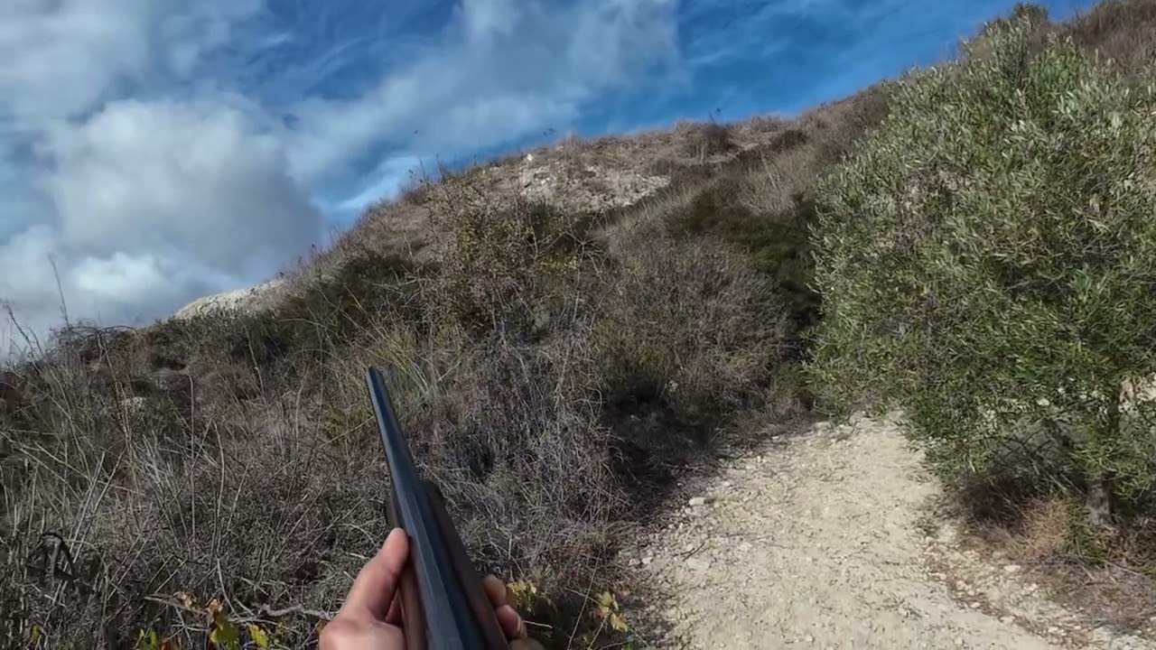 Κυνήγι στη Κύπρο Νοέμβριος 2025(Hunting In Cyprus)