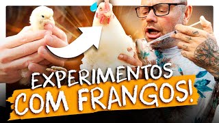 O FRANGO QUE VOCÊ COME ESTÁ CHEIO DE HORMÔNIOS?! | RICHARD RASMUSSEN