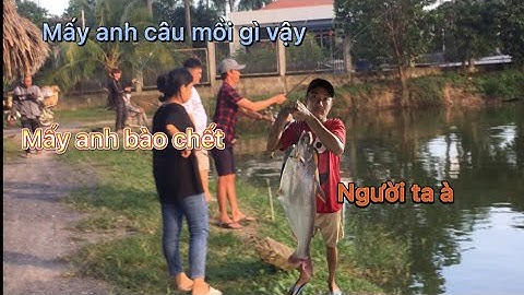 Tranh thủ bào cá hồ câu cá như ý