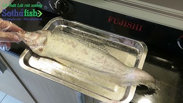 Cá thát lát rút xương SOTHAFISH