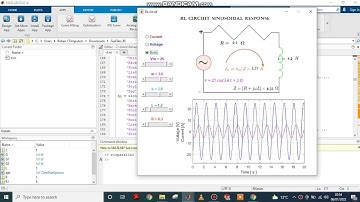 How to run code in MATLAB? What is RL Circuit?