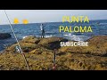 PUNTA PALOMA,EL PARAÍSO Y ENCIMA, TOCANDO ESCAMAS 🙋‍♂️