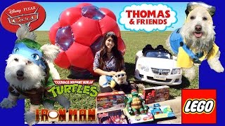 GIANT BALL SURPRISE TOYS Playtime outside with cute Dog Power Wheels Ride-On riding car Kids Video