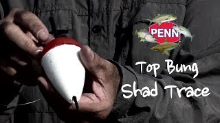 Shad Top Bung Trace