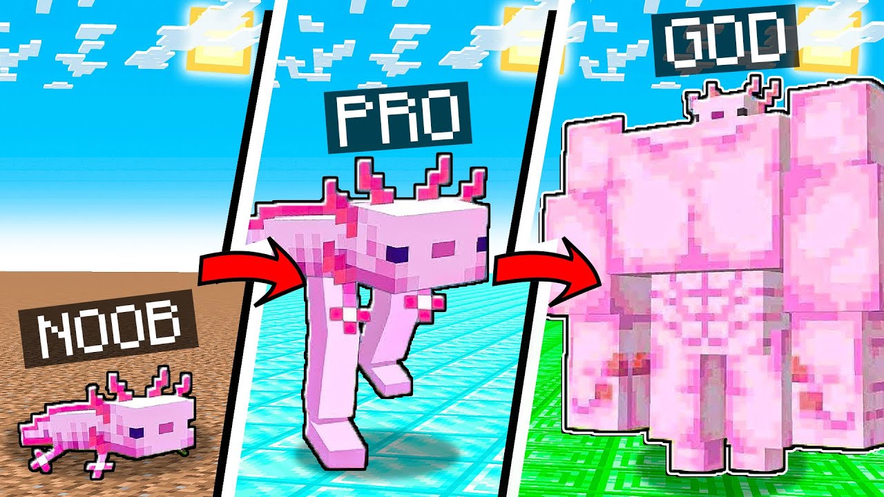 DA AXOLOTL NOOB A PRO A GOD su MINECRAFT!