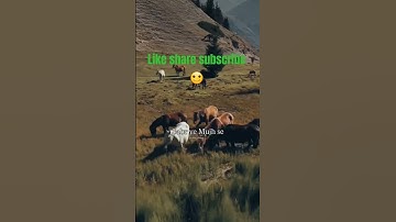 मन में हो विश्वास, तो सब संभव है ||𝗖𝗿𝗲𝗮𝘁𝗲 𝗬𝗼𝘂𝗿 𝗢𝘄𝗻 𝗣𝗮𝘁𝗵 #𝘀𝗵𝗼𝗿𝘁𝘀​ #𝗸𝗮𝗯𝗵𝗶𝗸𝗮𝗯𝗵𝗶𝗻𝗲𝘄𝘀​ #motivation #love