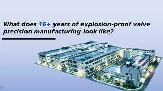 What does 16+ years of explosion proof valve precision manufacturing look like?