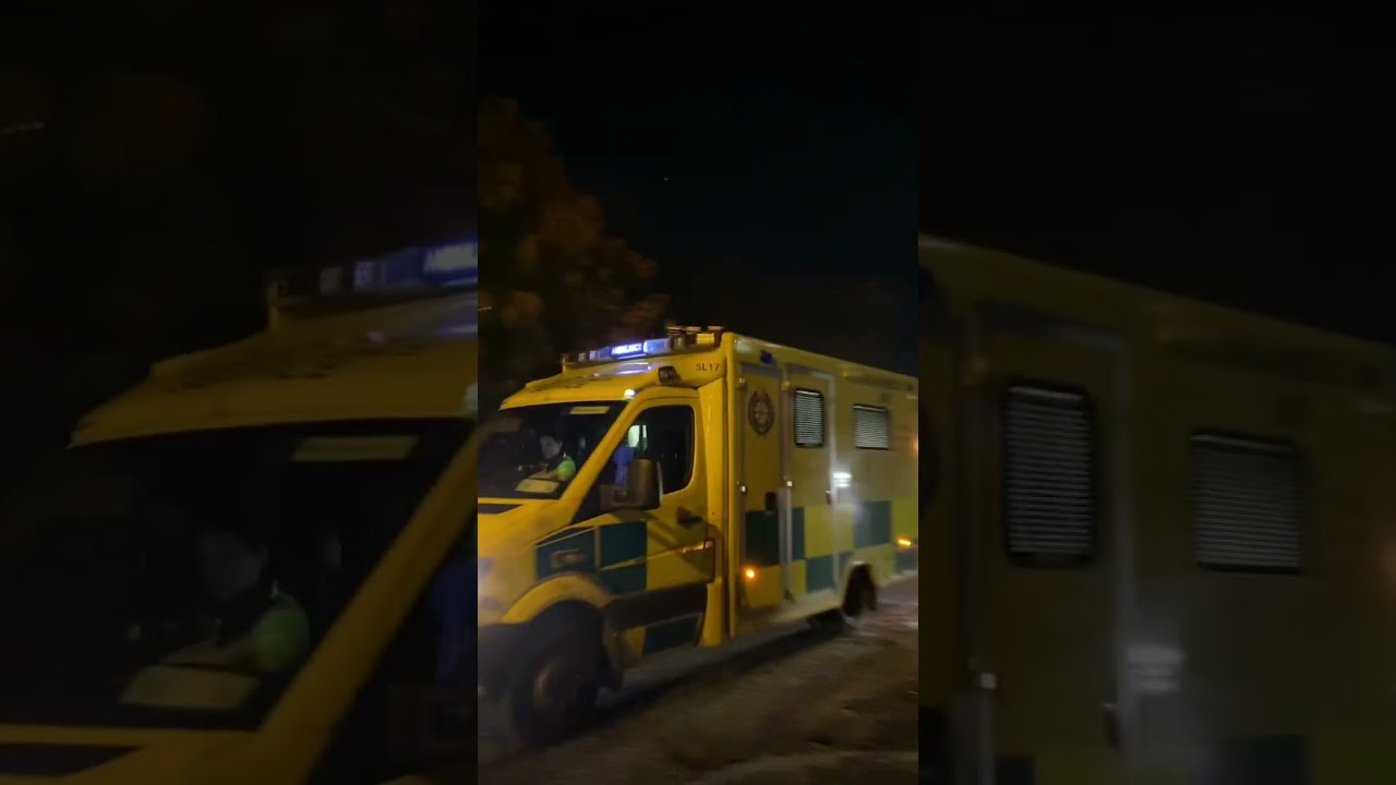 You Need A Partner Like Him Gymshorts Youtubeshorts Youtube Shorts Viralvideos Viral India - YouTube Auto PHP Script