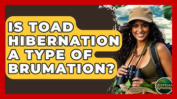 Is Toad Hibernation A Type Of Brumation? - Reptilian Wonders