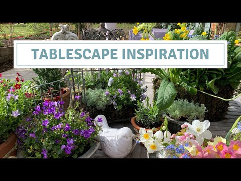 Video: Tablescaping Dengan Tanaman – Pelajari Tentang Tablescapes Bertema Taman