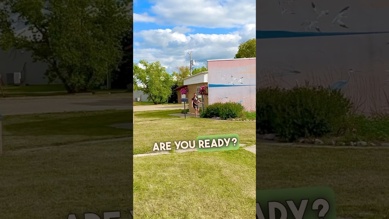 u ever seen a talking turtle?