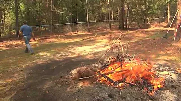 How do you burn tree branches in your yard?