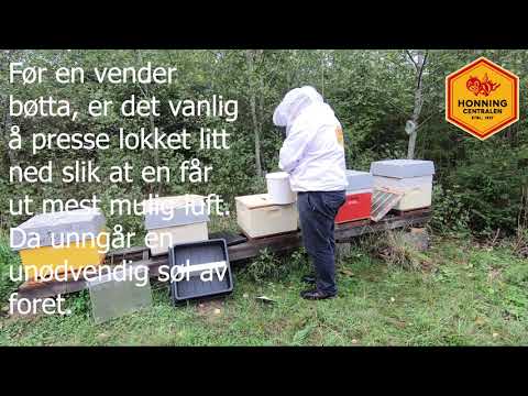 Video: Hvorfor Bier Bygger Honningkaker