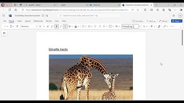 Accessibility tools for students in Microsoft Edge 2025