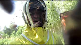 Белорусское Пчеловодство Bee&Ivtodi