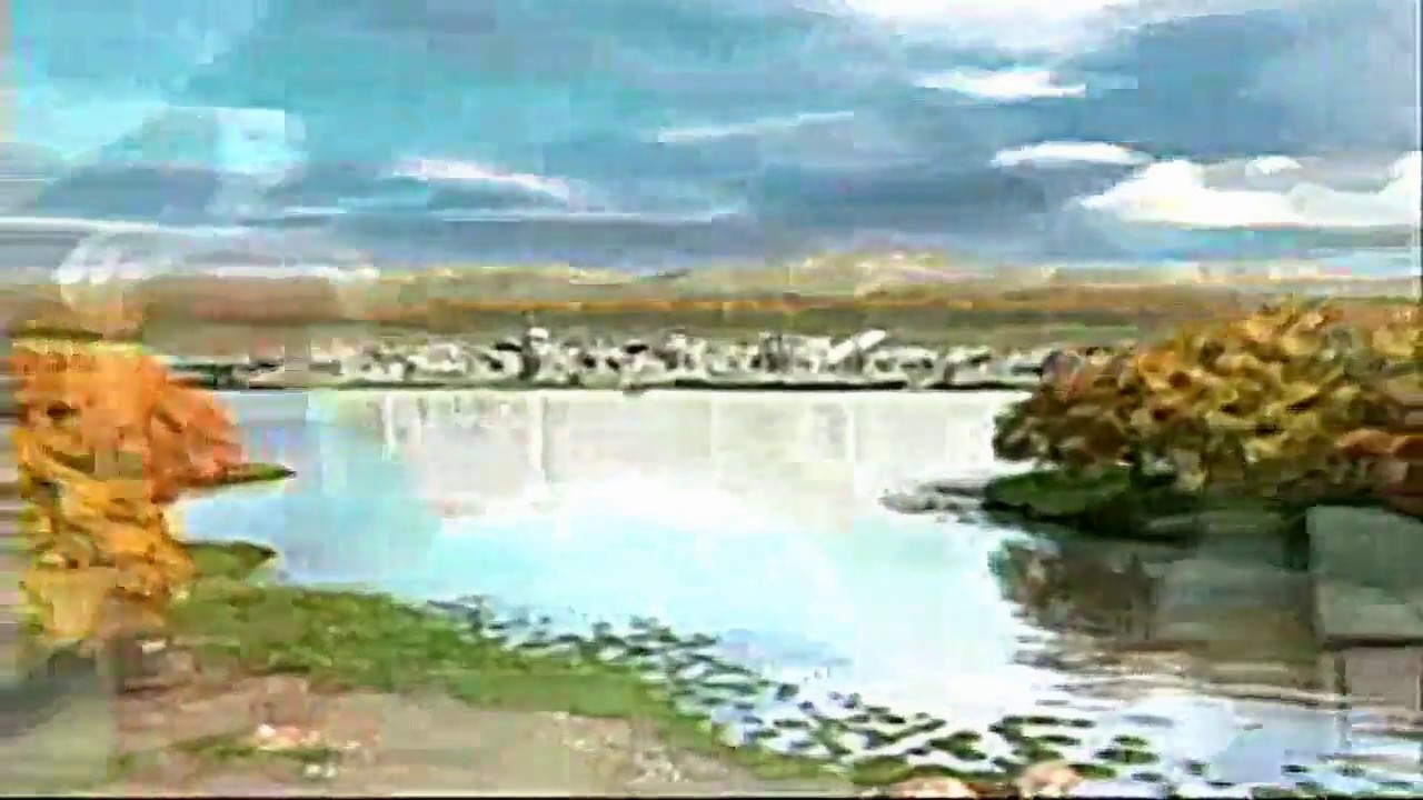 video Forever Kingdom