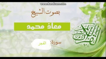 سورة الفجر بصوت معاذ محمد ___خاشعه تبكي الحجر