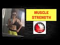 Muscle strength  barbell workout  10 tracks  release 2  55 min