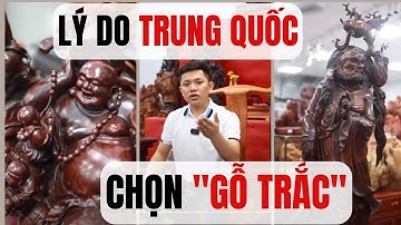 TẠI SAO Trung Quốc lựa CHỌN - GỖ TRẮC mà không phải gỗ khác? | Đồ gỗ Mạnh Sơn