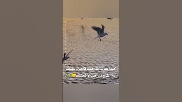 صباح الخير🌸مقاطع فيديو قصير للقرآن الكريم❤️تلاوة هادئة💙اريحو قلوبكم حالات واتس اب قصيره قرآن كريم💜