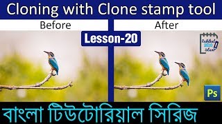 Clone stamp tool and Pattern stamp tool in Photoshop in Bangla (Lesson 20)